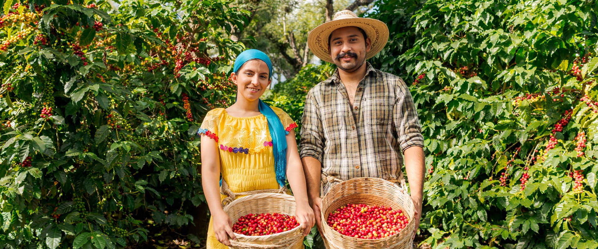 Perfectly Balanced Tastes