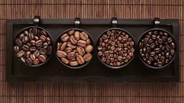 Types of Coffee Beans【Arabica vs Robusta Explained】
