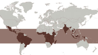 Top 10 Most Popular Coffee Growing Regions in the World【Compare flavors, characteristics and rankings】