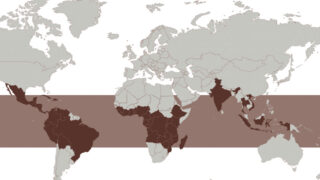 Top 10 most popular coffee-producing regions in the world【Compare flavors, characteristics and rankings】