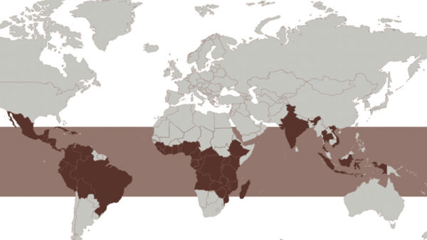 Top 10 most popular coffee-producing regions in the world【Compare flavors, characteristics and rankings】